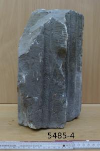  Klick hier um das Dokument anzusehen