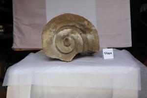  Klick hier um das Dokument anzusehen