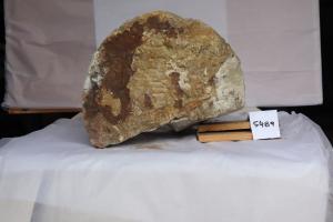  Klick hier um das Dokument anzusehen